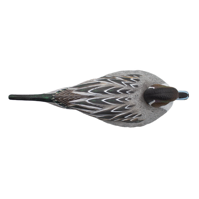 HD Pintail Floating Duck Decoys,  6 Pack