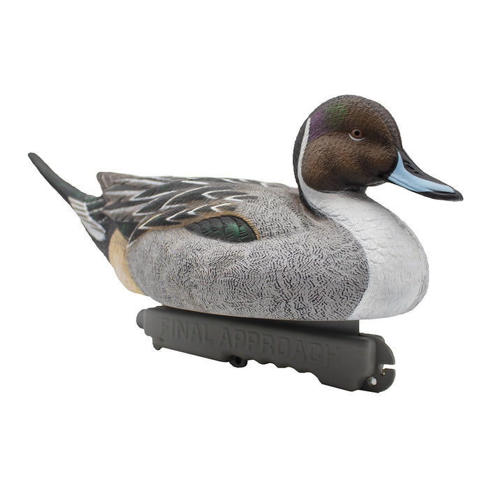 HD Pintail Floating Duck Decoys,  6 Pack