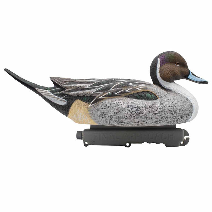 HD Pintail Floating Duck Decoys,  6 Pack