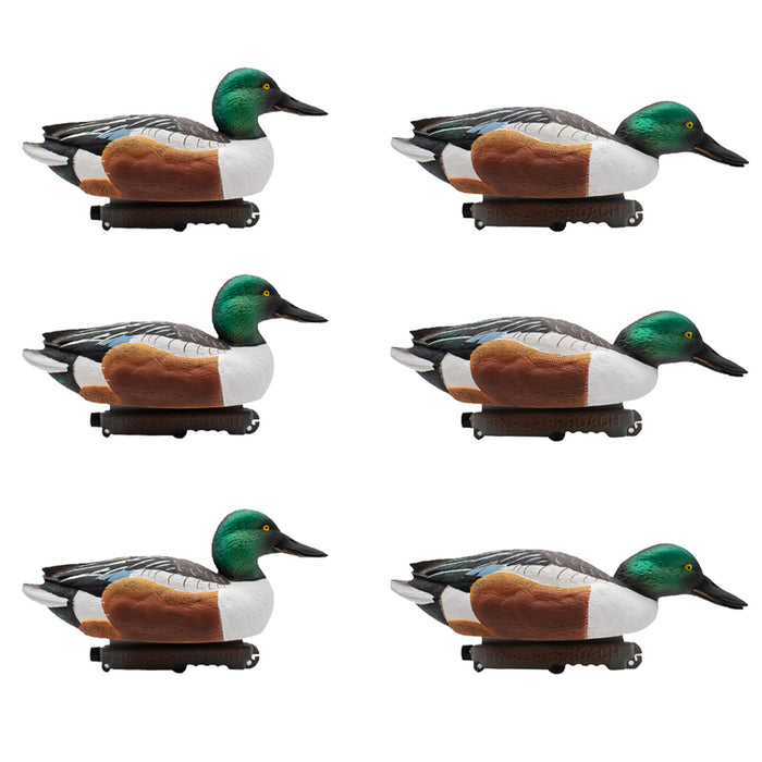 HD Northern Shoveler Floating Duck Decoys, 6 Pack