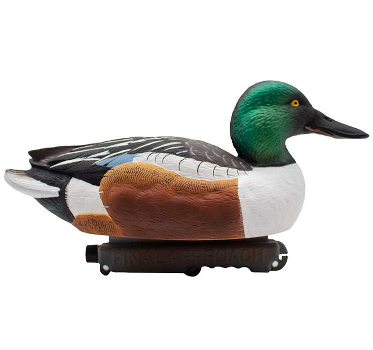 HD Northern Shoveler Floating Duck Decoys, 6 Pack