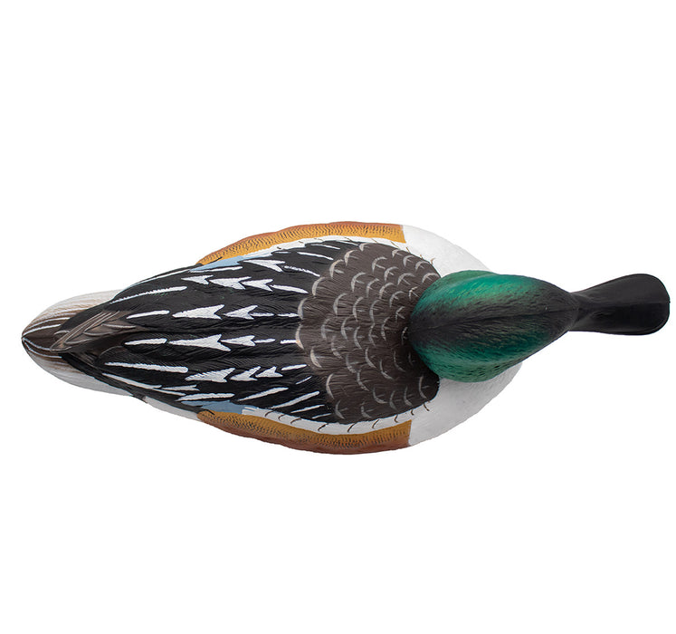 HD Northern Shoveler Floating Duck Decoys, 6 Pack