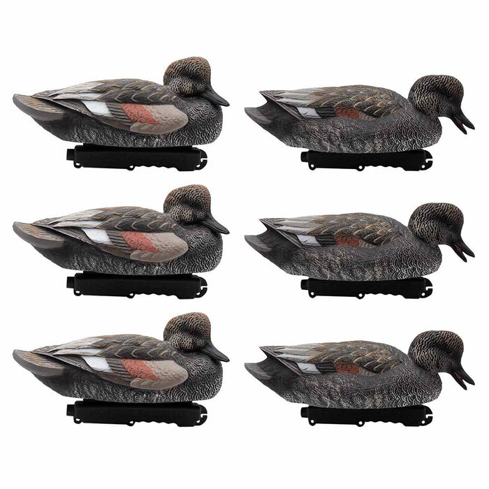 HD Gadwall Floating Duck Decoys, 6 Pack