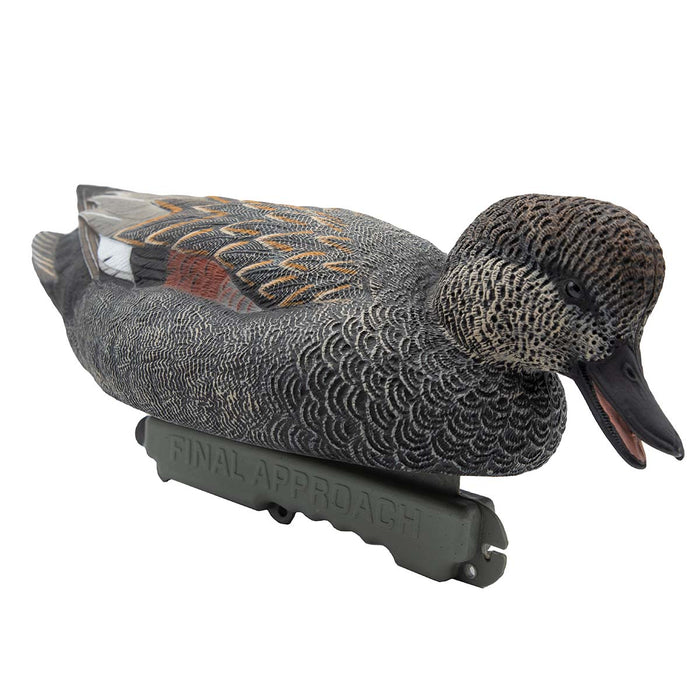 HD Gadwall Floating Duck Decoys, 6 Pack