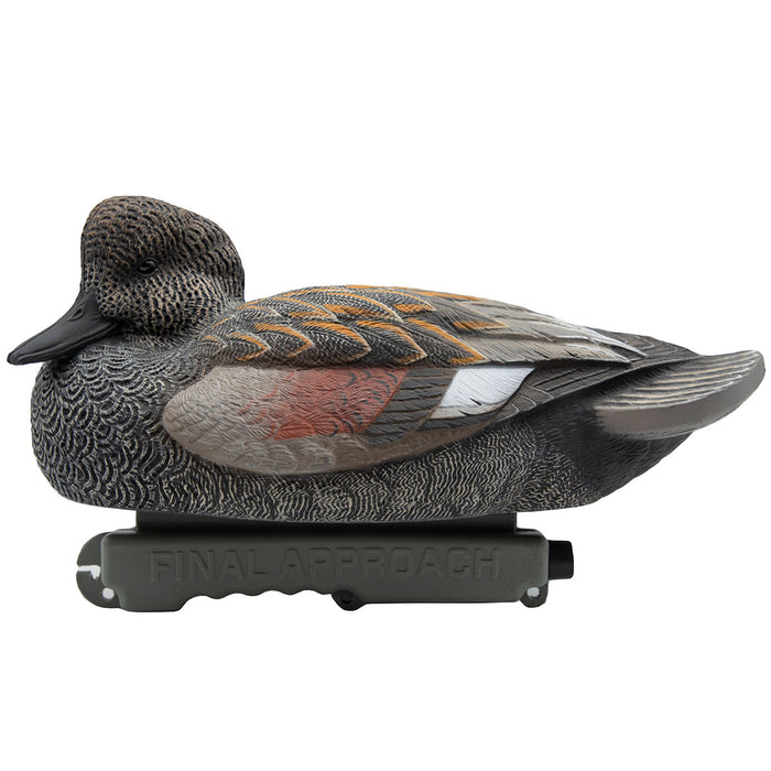 HD Gadwall Floating Duck Decoys, 6 Pack