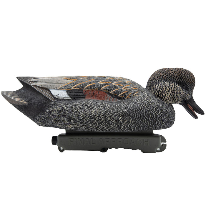 HD Gadwall Floating Duck Decoys, 6 Pack