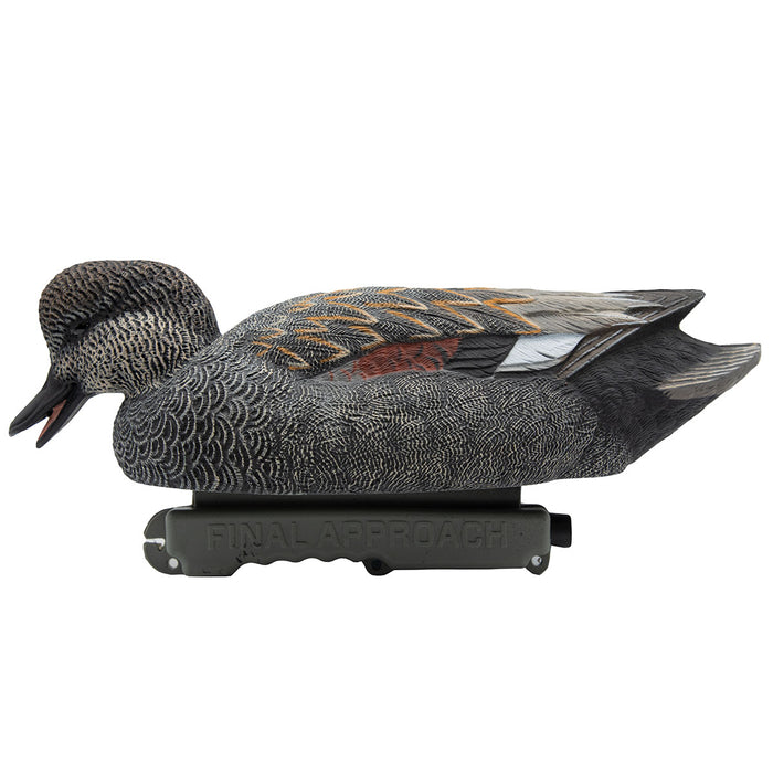 HD Gadwall Floating Duck Decoys, 6 Pack