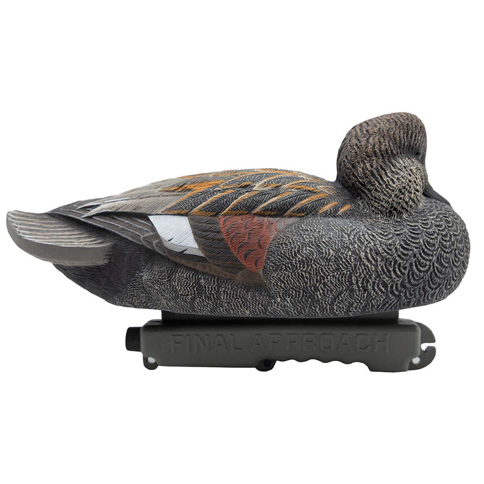 HD Gadwall Floating Duck Decoys, 6 Pack