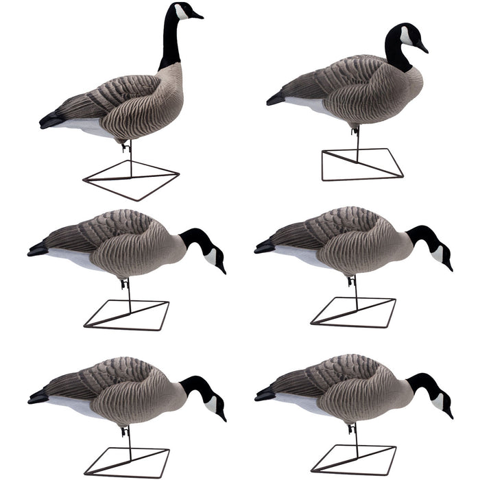 HD Full Body Honker Decoys - 6 Pack