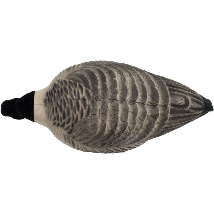 HD Full Body Lesser Canada Geese, 6 Pack