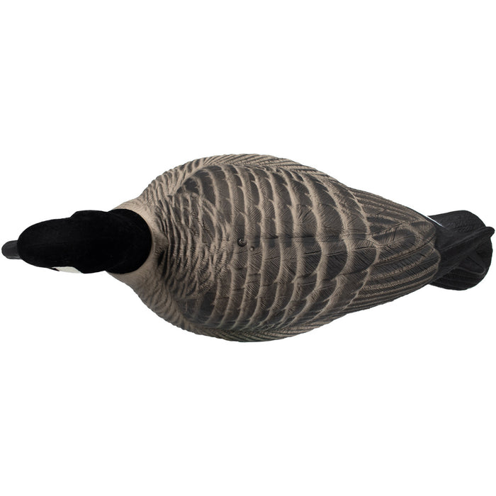 HD Full Body Lesser Canada Geese, 6 Pack