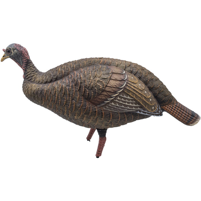 Live Breeder Hen Turkey Decoy