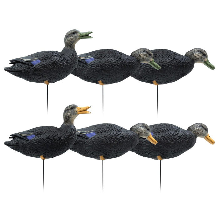 HD Full Body Black Duck Decoys, 6 Pack