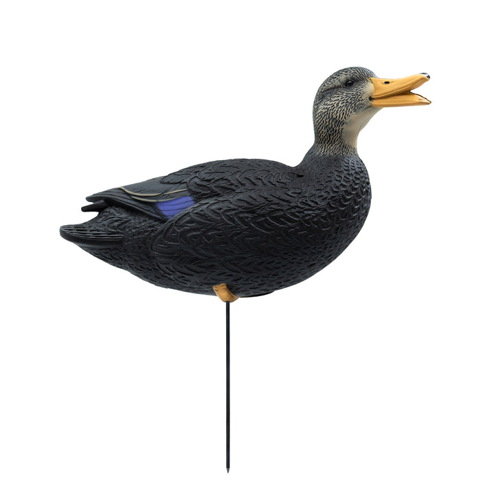 HD Full Body Black Duck Decoys, 6 Pack
