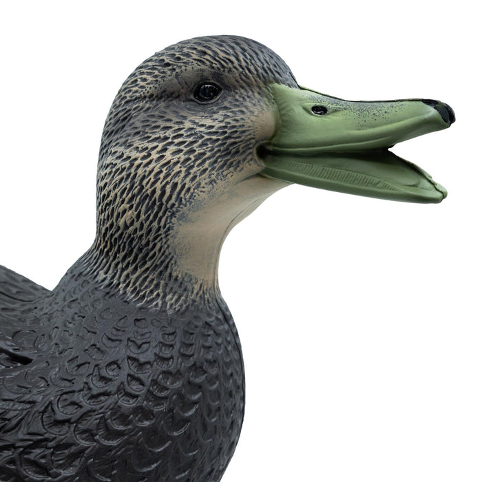 HD Full Body Black Duck Decoys, 6 Pack