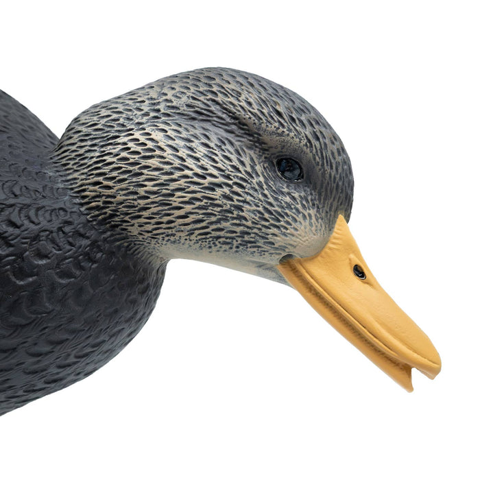 HD Full Body Black Duck Decoys, 6 Pack
