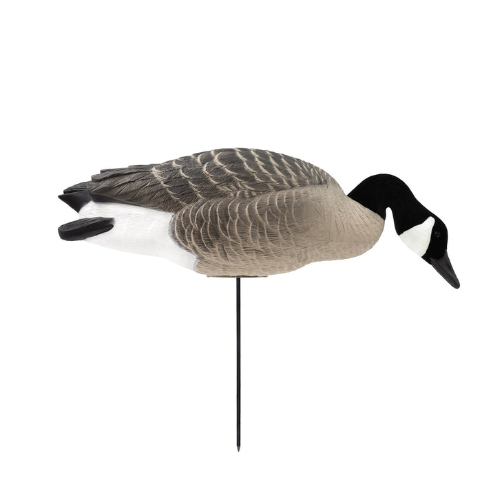 Last Pass Fully Body Canada Goose Decoys, 6 Pack