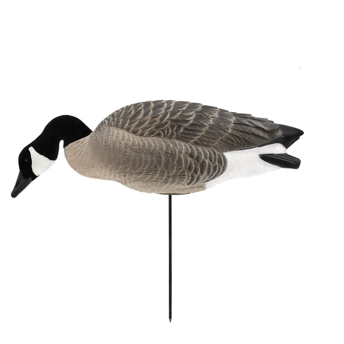 Last Pass Fully Body Canada Goose Decoys, 6 Pack