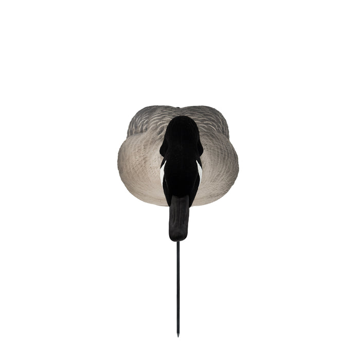 Last Pass Fully Body Canada Goose Decoys, 6 Pack