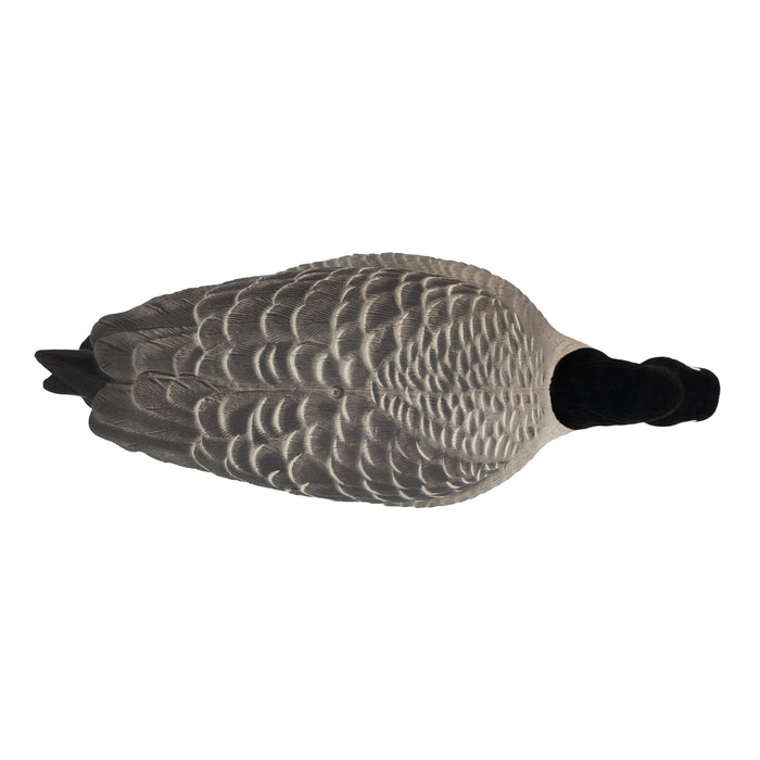 Last Pass Fully Body Canada Goose Decoys, 6 Pack