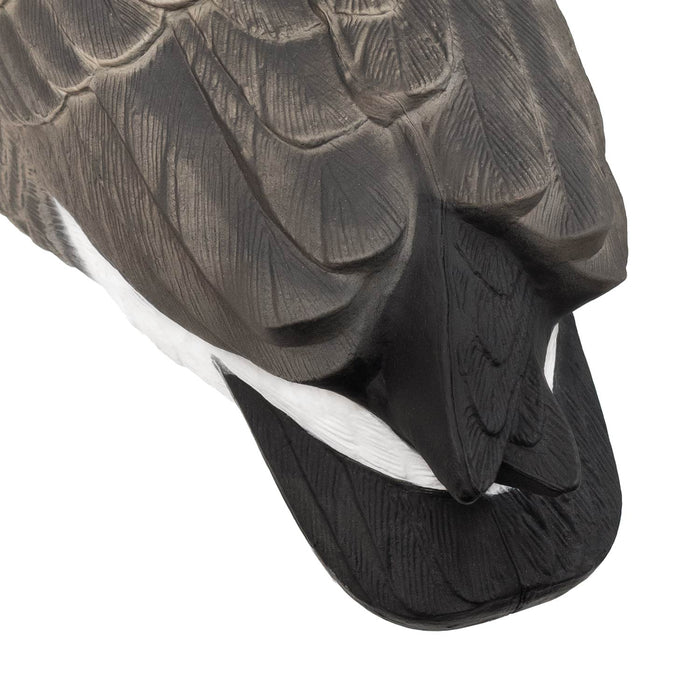 Last Pass Fully Body Canada Goose Decoys, 6 Pack