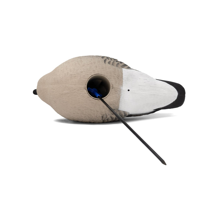 Last Pass Fully Body Canada Goose Decoys, 6 Pack