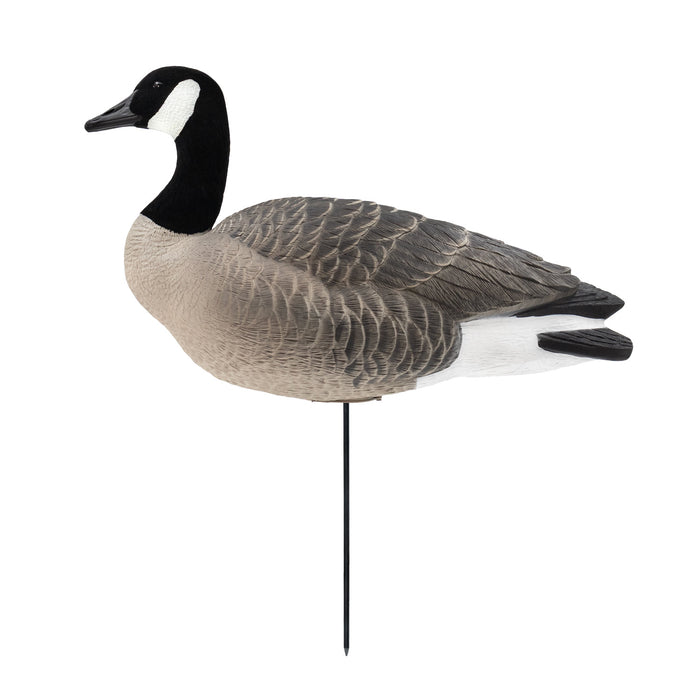 Last Pass Fully Body Canada Goose Decoys, 6 Pack