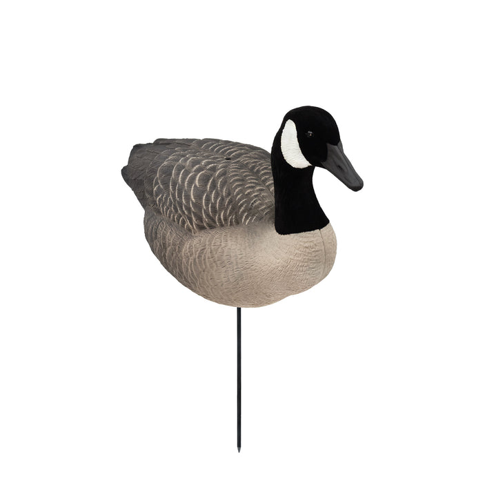 Last Pass Fully Body Canada Goose Decoys, 6 Pack