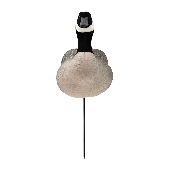 Last Pass Fully Body Canada Goose Decoys, 6 Pack