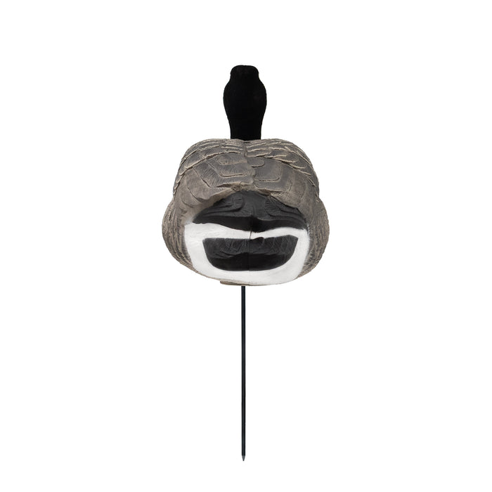 Last Pass Fully Body Canada Goose Decoys, 6 Pack