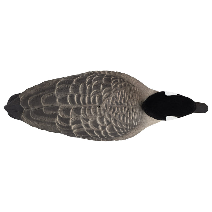 Last Pass Fully Body Canada Goose Decoys, 6 Pack