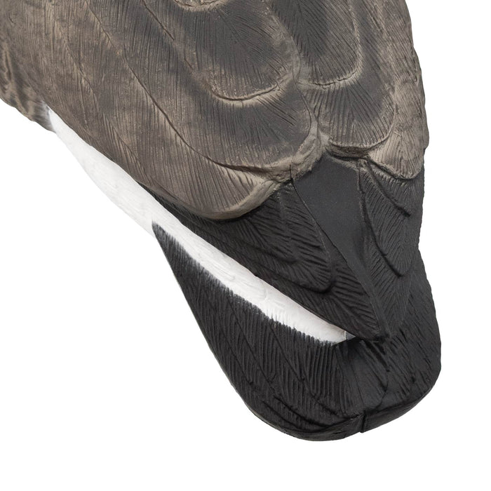 Last Pass Fully Body Canada Goose Decoys, 6 Pack