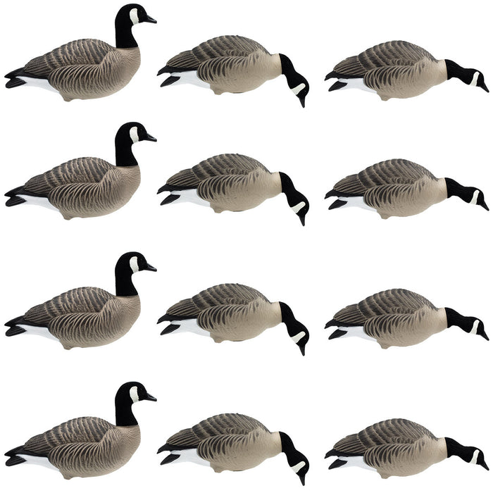 HD Full Body Lesser Canada Geese, 12 Pack