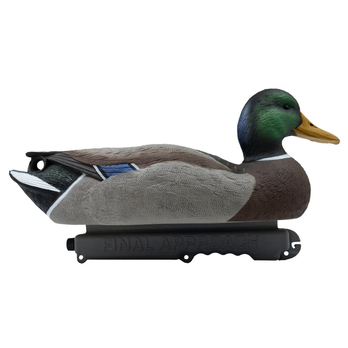 Oversized Live Mallard Duck Decoys, 6 Pack
