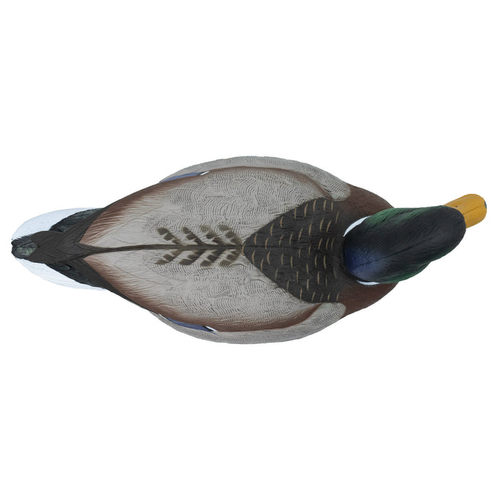 Oversized Live Mallard Duck Decoys, 6 Pack