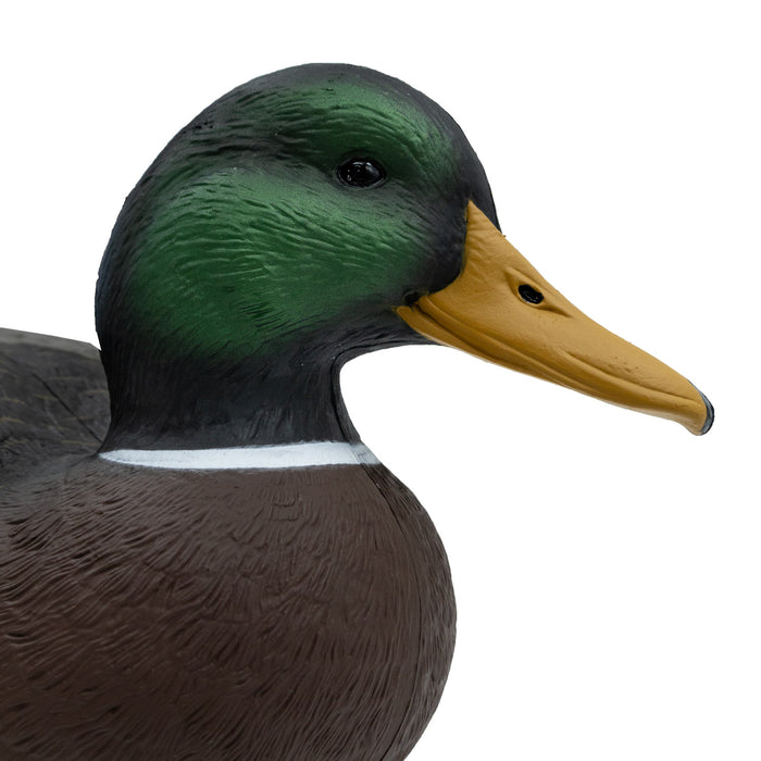 Oversized Live Mallard Duck Decoys, 6 Pack