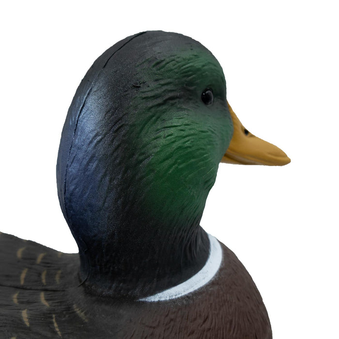 Oversized Live Mallard Duck Decoys, 6 Pack