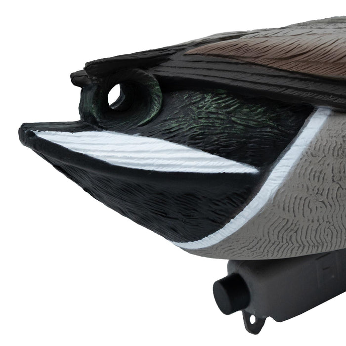 Oversized Live Mallard Duck Decoys, 6 Pack