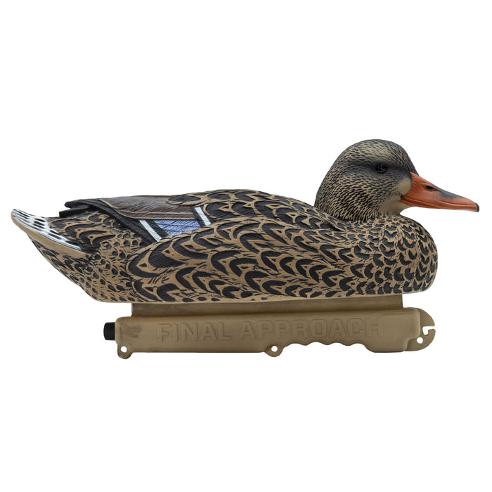 Oversized Live Mallard Duck Decoys, 6 Pack