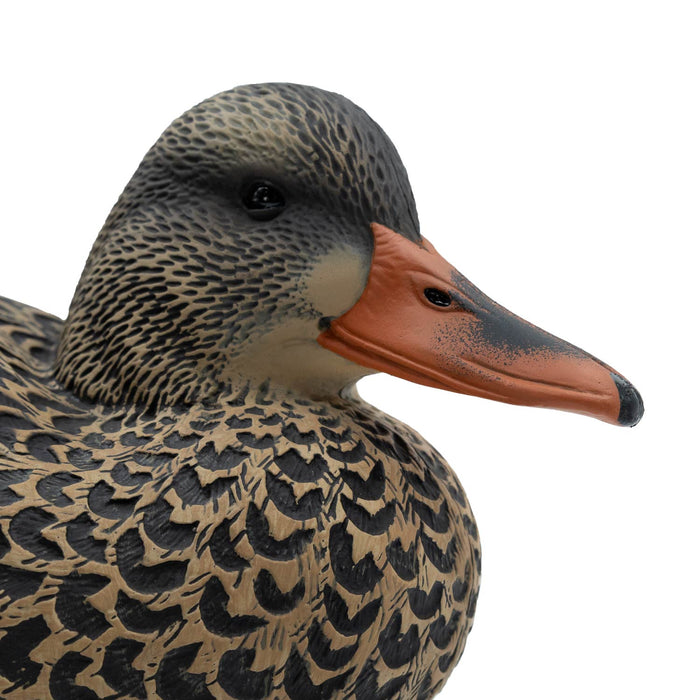 Oversized Live Mallard Duck Decoys, 6 Pack