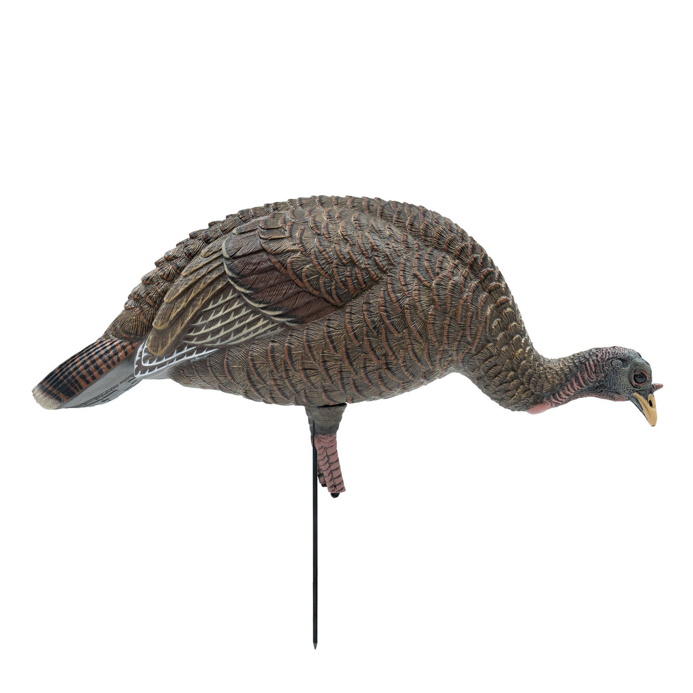Turkey Gear Collection