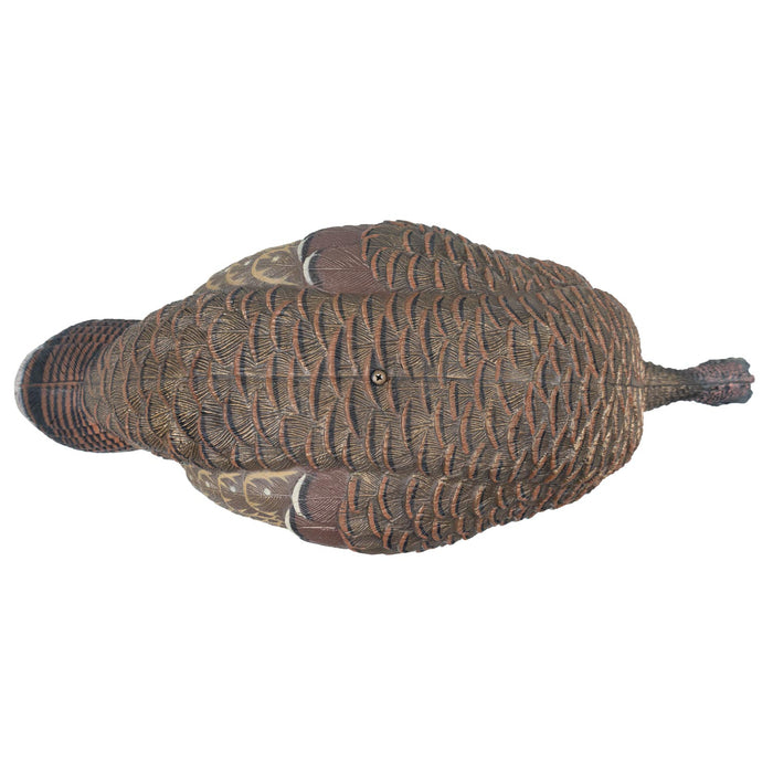 Live Series Feeding Hen Turkey Decoy