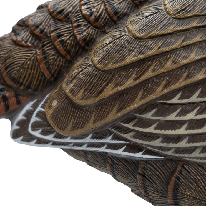 Live Series Feeding Hen Turkey Decoy