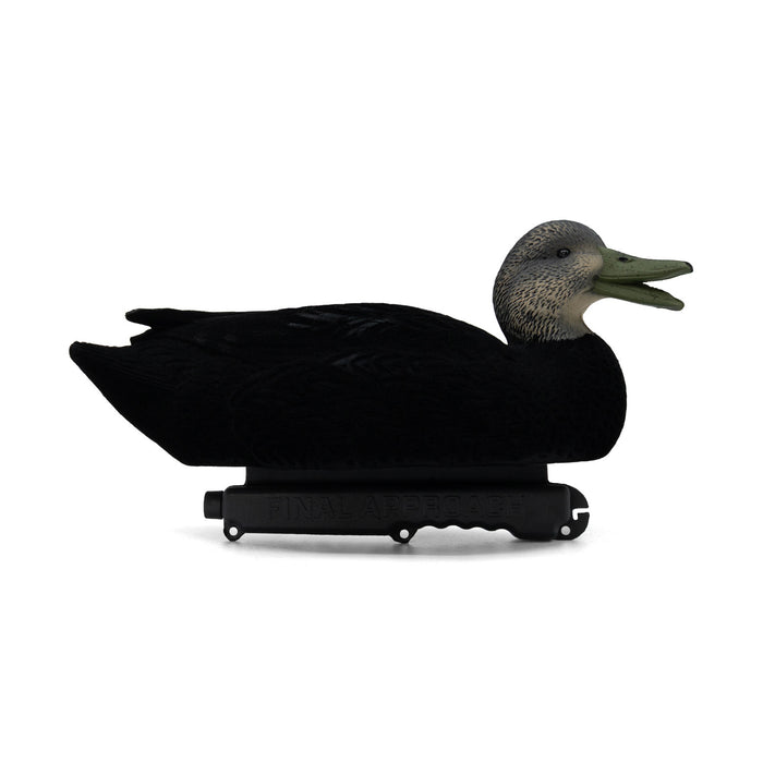 LIVE Flocked Floating Black Ducks - 6 Pack