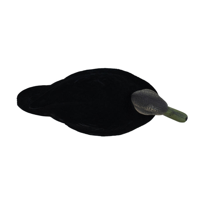 LIVE Flocked Floating Black Ducks - 6 Pack