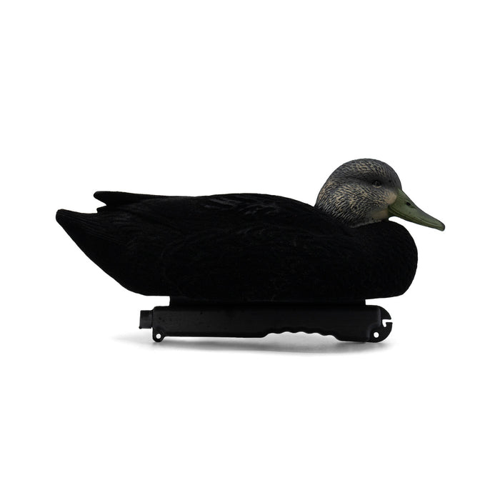 LIVE Flocked Floating Black Ducks - 6 Pack
