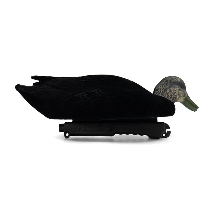 LIVE Flocked Floating Black Ducks - 6 Pack