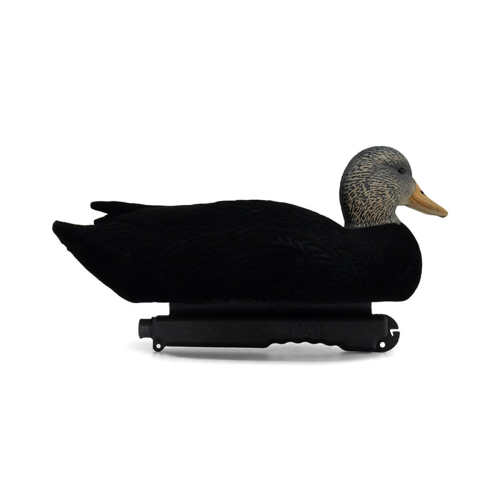 LIVE Flocked Floating Black Ducks - 6 Pack