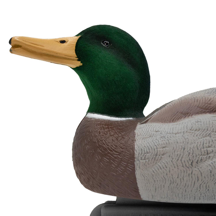 LIVE Floating Mallards - Flocked Heads With 12 Slot Decoy Bag - 12 Pack
