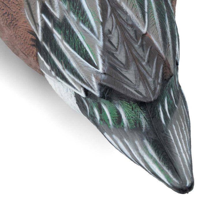 LIVE Floating Wigeons - 6 Pack